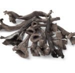 ***FRESH Wild Black Trumpet Mushrooms