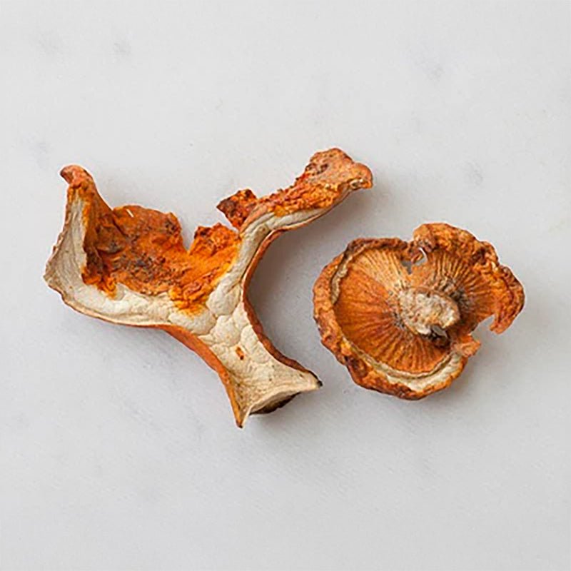 DriedLobsterMushrooms Dried Lobster Mushrooms - Image 1