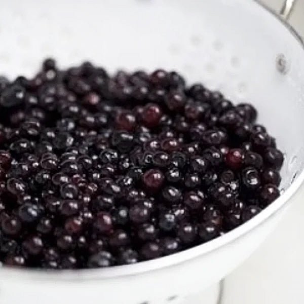IdahoHuckleberries Fresh Frozen Idaho Huckleberries - Image 1