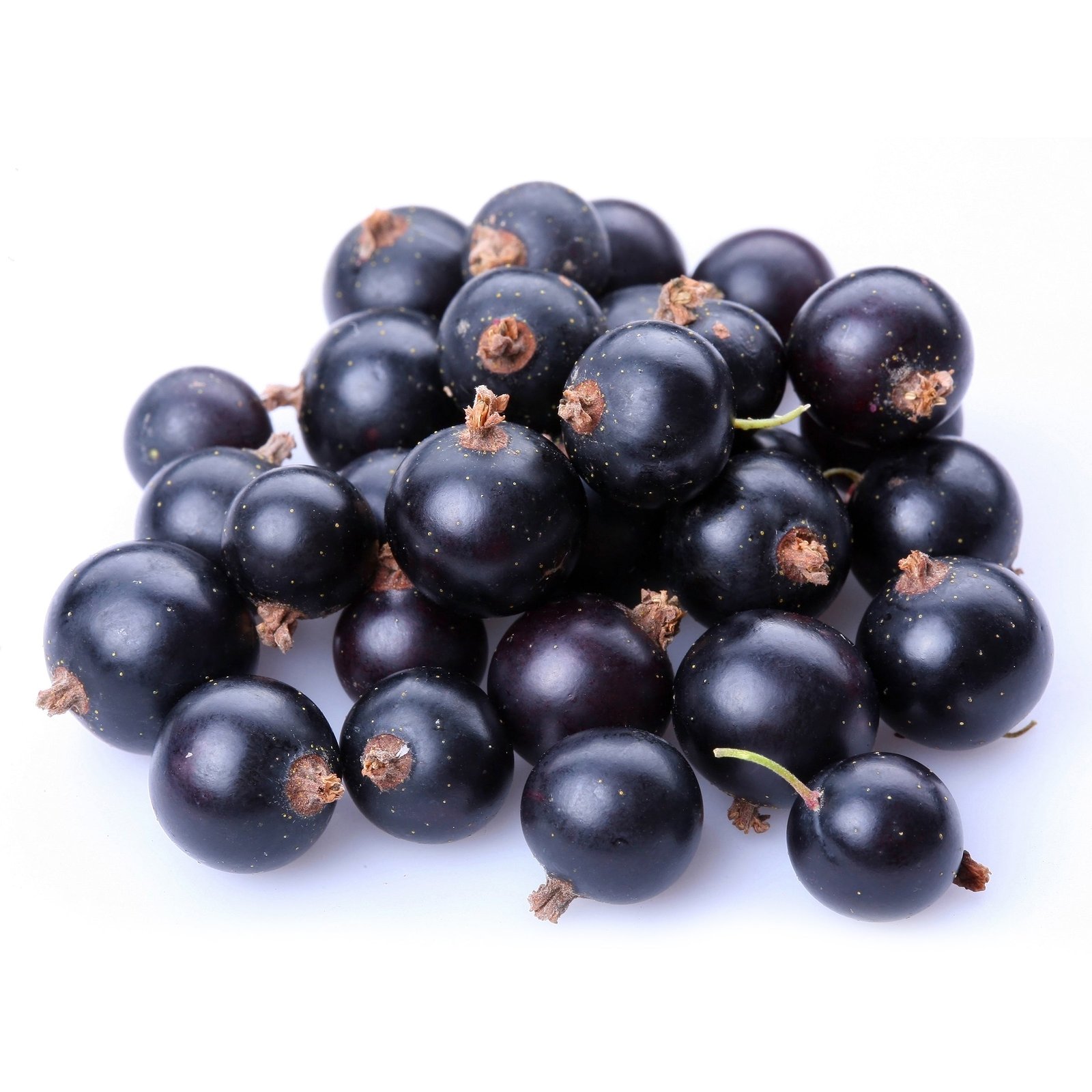 OrganicBlackCurrants Fresh Frozen Organic Black Currants - Image 1