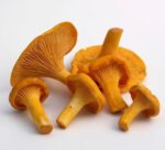 ***FRESH Chanterelle Mushrooms (5lbs) - Image 3