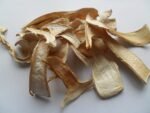 Dried Matsutake Mushrooms