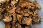 Dried Chanterelle Mushrooms - Image 3