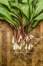 Fresh Frozen Wild Leeks - Image 2