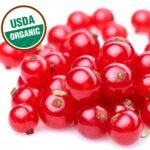 Fresh Frozen Organic Red Currants - Image 2