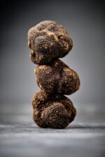 Fresh Frozen Wild Black Truffles - Image 3